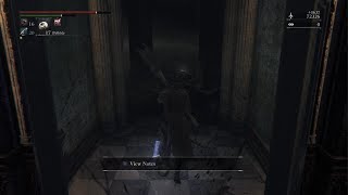 Bloodborne Chunks man [upl. by Perrins]