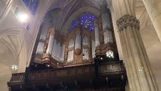 Organ recital after mass St Patricks Cathedral [upl. by Laniger]