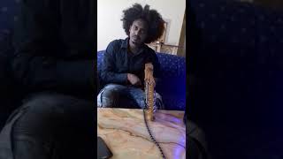 Eritrea music krar fugra rawra [upl. by Ecinert]