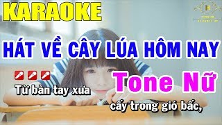 Karaoke Hát Về Cây Lúa hôm Nay Tone Nữ Nhạc Sống  Trọng Hiếu [upl. by Miguelita]