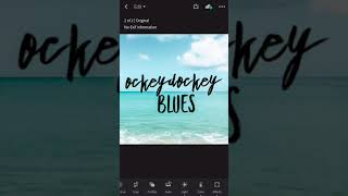 My ockeydockey Lightroom mobile presets Tutorial [upl. by Rakso942]