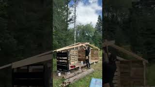 Shed made from Pallet Wood shorts shorts [upl. by Joshi]