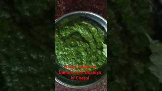 1 minute Mein banne wali Dhaniya chatni ki recipesgreen chutney recipe [upl. by Nydnarb159]