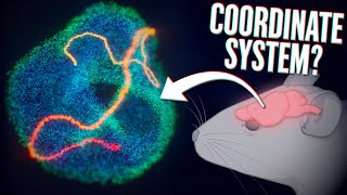 Your brain is moving along the surface of the torus 🤯 [upl. by Atiuqihc]