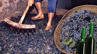 VINO artesanal a partir del PISADO DE LAS UVAS Elaboración tradicional de esta BEBIDA fermentada [upl. by Elinet]