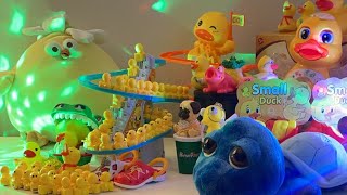 LET’S PLAY asmr asmrsounds asmrvideo satisfying toys duck cute relaxing play playtime [upl. by Ikciv]