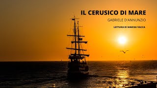 IL CERUSICO DI MARE  di G DAnnunzio  voce di Marisa Vacca [upl. by Hephzipah151]