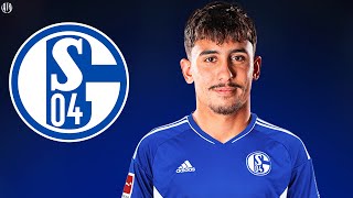 Ilyes Hamache 2024  Welcome to Schalke 04  Best Skills amp Goals  HD [upl. by Ginevra]