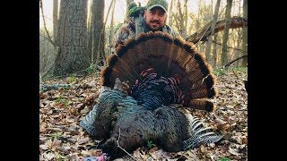 Ohio Spring Turkey 2018 Off The Roost [upl. by Rosenfeld]