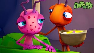 Antidote 🔴NEW EPISODE🔴 Funny Cartoons For All The Family  Funny Videos for kids  ANTIKS 🐜🌿 [upl. by Blancha]