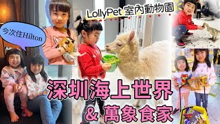 深圳海上世界｜Hilton Shenzhen Shekou Nanhai 開箱｜萬象食家 ｜Lollypet ￼室內動物園｜ 北上親子旅遊 ｜北上消費 [upl. by Acinomahs997]