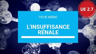 UE 27 Linsuffisance rénale [upl. by Elberfeld]