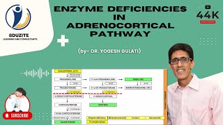 Enzyme Deficiencies In Adrenocortical Pathway CONGENITAL ADRENAL HYPERPLASIA [upl. by Valenba]