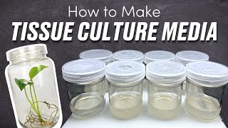 How to Make Tissue Culture Media Demo [upl. by Winnie]