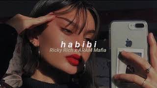 Ricky Rich x ARAM Mafia  Habibi slowed  reverb [upl. by Ledeen]