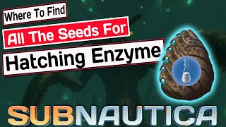 Where To Find All The Seeds For The Hatching Enzyme  SUBNAUTICA GUIDE [upl. by Helali]