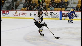 NCAA Mens Hockey vs Finlandia 11918 [upl. by Ahsirkal]