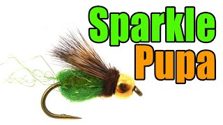 Sparkle Pupa Fly Tying  Gary LaFontaine Fly Pattern [upl. by Ellenar]