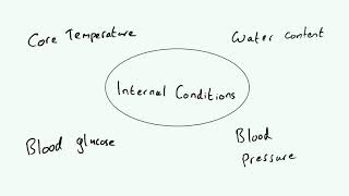 Homeostasis  AQA GCSE 91 Biology B5 [upl. by Baxter]