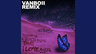 What If I Told You That I Love You Vanboii Remix [upl. by Aniras]