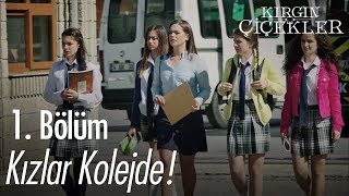 Kızlar kolejde  Kırgın Çiçekler 1 Bölüm [upl. by Idleman]