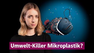 Mikroplastik So kommt das Plastik in unseren Körper [upl. by Eromle364]