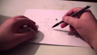 LeschNyhan Syndrome Genetic Disorder Pedigree Chart [upl. by Accebar]