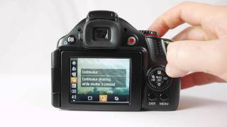 Canon PowerShot SX40 HS review [upl. by Erehpotsirhc]