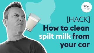 How to clean spilt milk in your car  AutoGurucomau [upl. by Dearr]