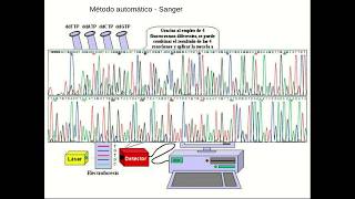 Diseño de primers y análisis de secuenciamiento de genes [upl. by Idnym]