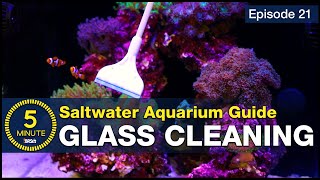 Tips for crystal clear saltwater aquarium glass ways keep it that way [upl. by Mccormac]