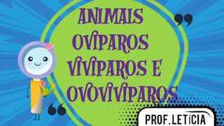 ANIMAIS OVÍPAROS VIVÍPAROS E OVOVIVIPAROS PARA O 3° ANO [upl. by Luana172]