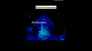 Made Quinine DiYFluoresceQuinine FluoresceChemical ReactionsHigher StudiesBy Rajendra Sir [upl. by Aldarcy535]