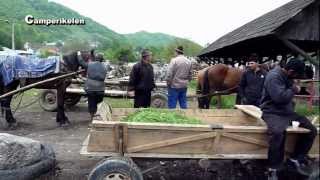 Levende markt Roemenië [upl. by Cranston]