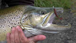 Soft baiting for monster trout South Island New Zealand 4K [upl. by Yaj]