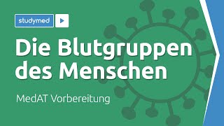 Die Blutgruppen des Menschen  MedAT Vorbereitung [upl. by Rea]