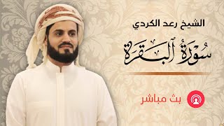 سورة البقرة مكتوبة  الشيخ رعد محمد الكردي [upl. by Anemaj]