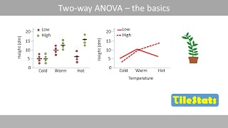 Twoway ANOVA  the basics  interaction  twoway vs oneway [upl. by Cadell672]