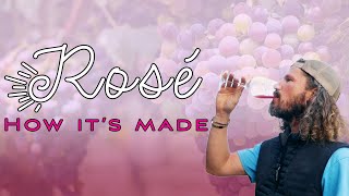 How to MAKE Rosé 🍷 Pink Winemaking Techniques [upl. by Ahseeyt]