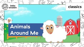 Toddlers Learn Animals  Animal Learning for kids  Cute Animals  Animals Around Me  Baby Einstein [upl. by Fita834]