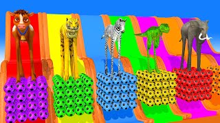 Long Slide Game With Elephant Gorilla Buffalo Hippopotamus Tiger 3d Animal Game Funny 3d Animals [upl. by Coffey]