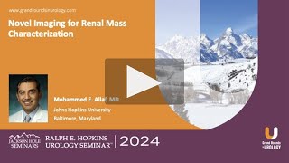 Novel Imaging for Renal Mass Characterization [upl. by Scrivenor552]