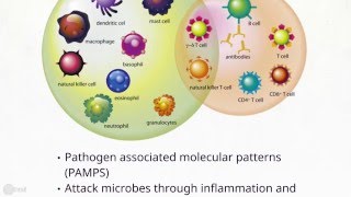 Demystifying Mechanism of Innate Immunity [upl. by Dreda]