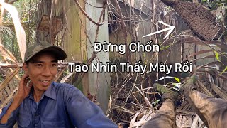 Lần Theo Con Ong Hoảng Hồn Bị Người Khuất Mặt Dẫn Đến Căn Nhà Hoang Rùng Mình Lạnh Cả Người [upl. by Jere]