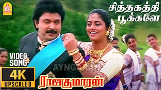 Sithagathi Pookale  4K Video Song சித்தகத்தி பூக்களே  Rajakumaran  Prabhu  Meena  Ilaiyaraaja [upl. by Aenit]