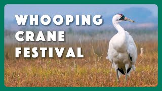 Port Aransas Whooping Crane Festival [upl. by Attenauqa]