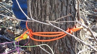 Tree Trimming With DetCord  Explosives Research Vol 3 [upl. by Keele]