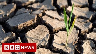 UN climate change goal now within reach  BBC News [upl. by Nylrehs869]