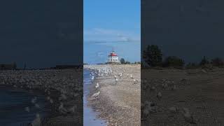 Headlands State Park Mentor OH [upl. by Etteval275]