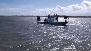 2014 Shoalwater 21 Cat mercury 250 Pro Xs [upl. by Yarw]